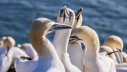 玉环最新公积金卡提取现金方法app方法分析(最方便真实的玉环公积金卡怎样从手机里取出来?方法)